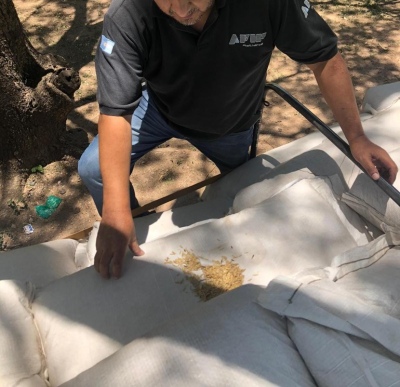 La Aduana secuestr&oacute; cargas de granos y agroqu&iacute;micos que eran transportadas de manera il&iacute;cita