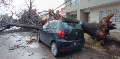 &iquest;Pod&eacute;s reclamar al seguro si tu auto sufre da&ntilde;os por un temporal?