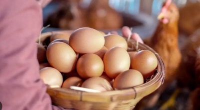 Hoy es el D&iacute;a Mundial del Huevo: sus mitos m&aacute;s famosos