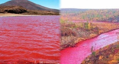 Tremendo: El R&iacute;o Nilo se ti&ntilde;&oacute; completamente de rojo