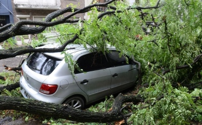 El Gobierno porte&ntilde;o entregar&aacute; subsidios a los afectados por el temporal: todos los detalles