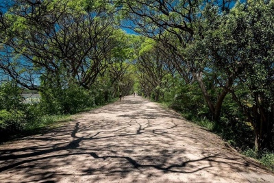 Escapadas verdes: cinco reservas naturales cerca de CABA para disfrutar del finde de largo