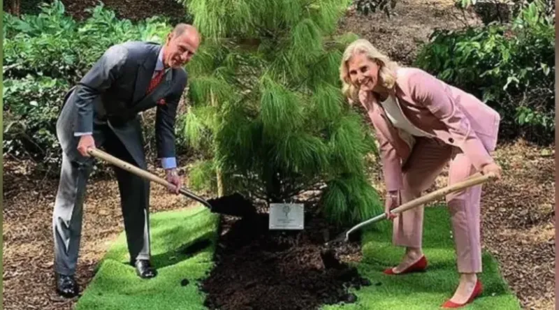 ¿Cuál fue el último posteo de la cuenta oficial de la familia real británica?