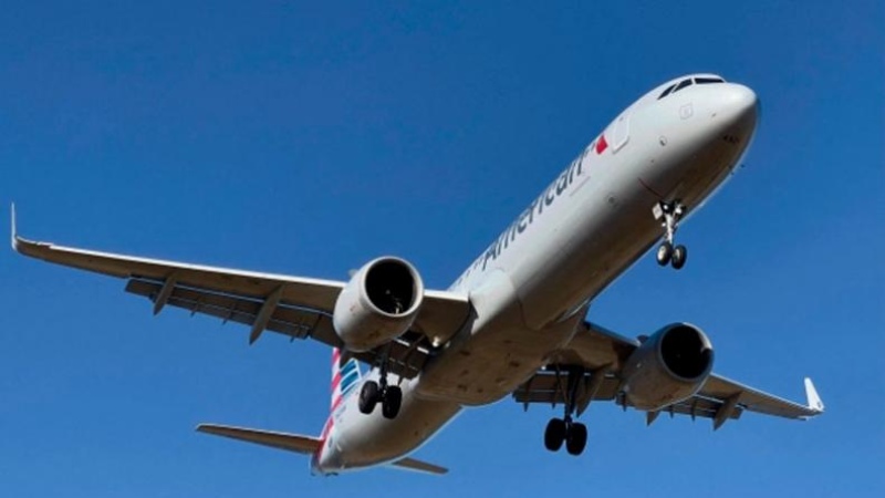 Ingirió hongos en un avión y terminó mal