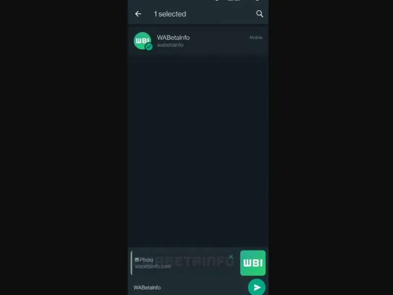 La nueva función de WhatsApp