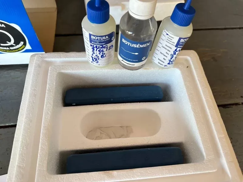 Un brasileño quiso entrar semen de caballo a la Argentina y quedó demorado