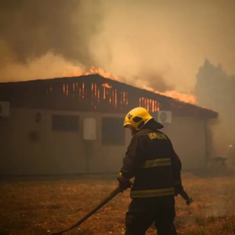 Chile: los incendios forestales causaron al menos siete muertes