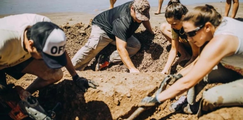 Encontraron en la playa de Chapadmalal los restos de dos gliptodontes de tres millones de años