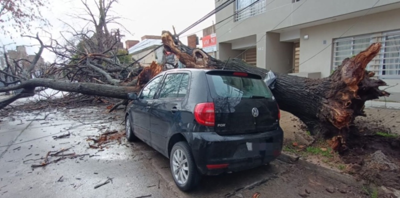 ¿Podés reclamar al seguro si tu auto sufre daños por un temporal?