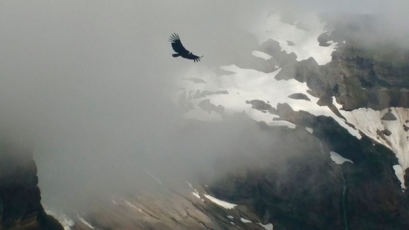 El CONICET publicó un estudio que explica el origen de la Patagonia