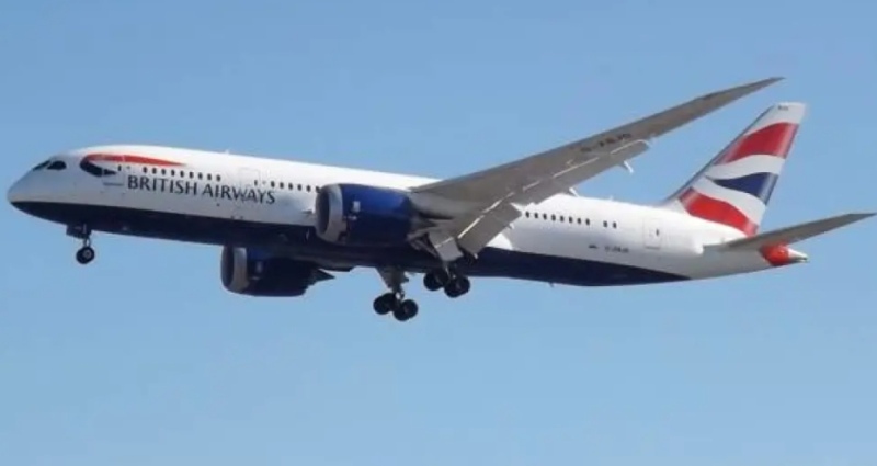 Despidieron a un piloto tras consumir cocaína de los pechos de una mujer antes de volar