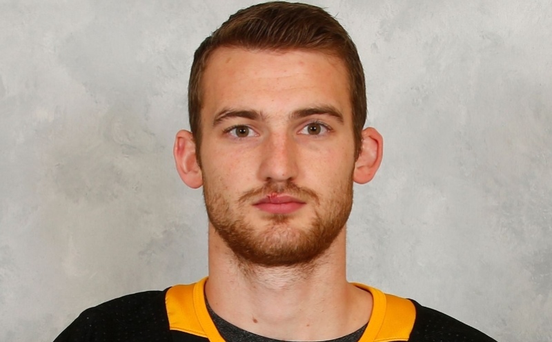 Murió un jugador de hockey tras un corte en el cuello con un patín