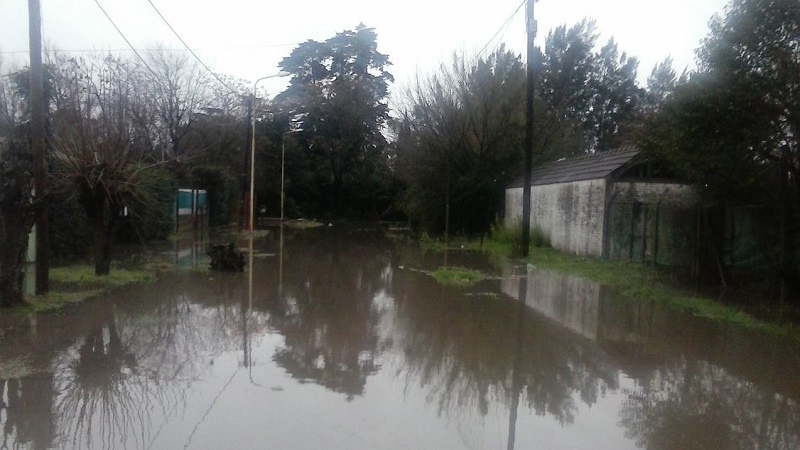 Un vecino de José C. Paz salió con un bote a la calle y por $50 te lleva: el insólito video