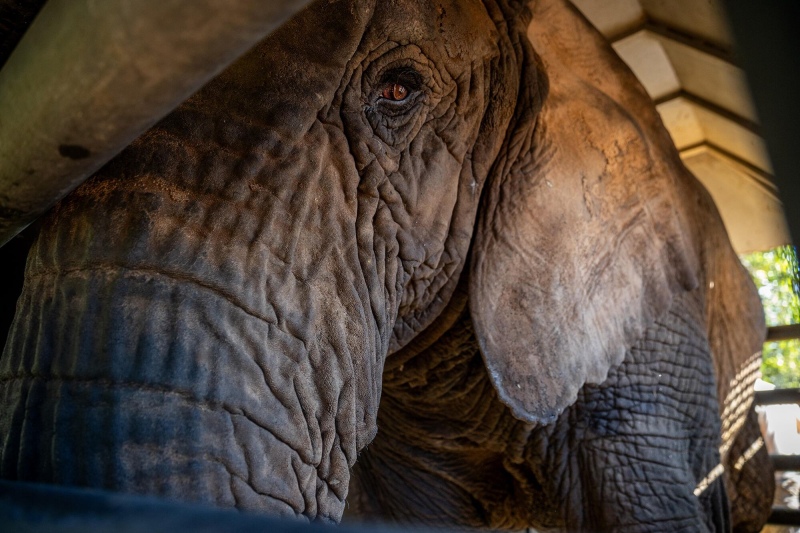No hay 0km por menos de dos palos